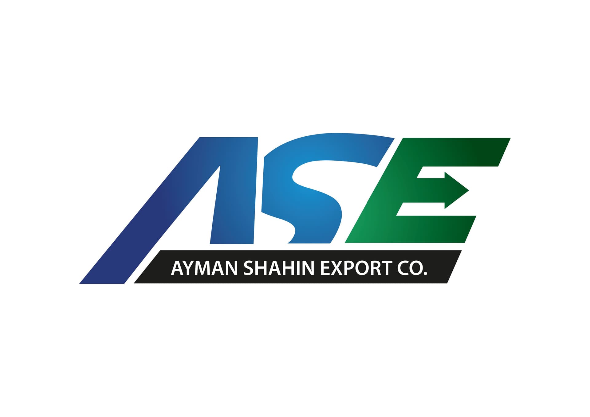 Ayman Shahin Group Subsidiary